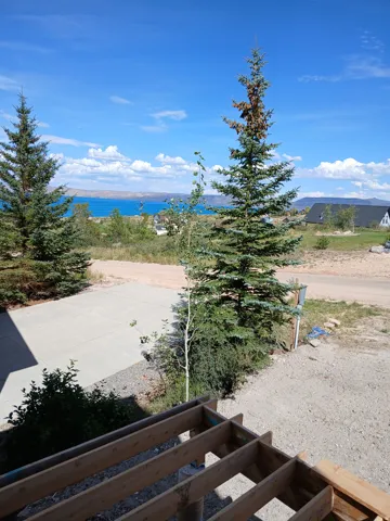 Lake backdrop with distant mountains, mature evergreen trees