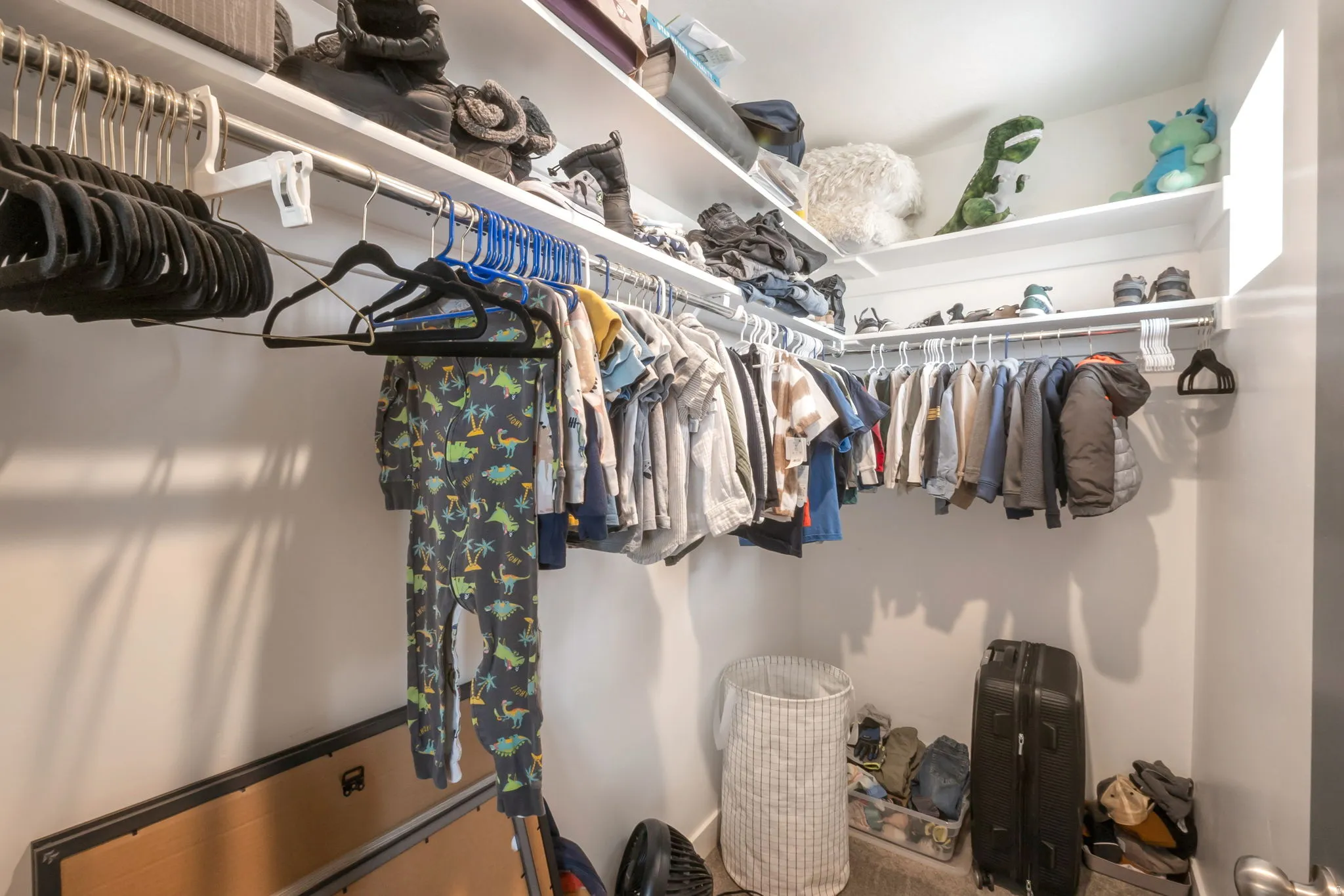 Spacious walk-in closet featuring white built-in shelving