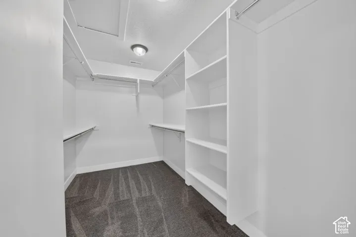 Spacious walk-in closet featuring built-in shelving, multiple hanging rods, overhead lighting, and dark gray carpeting