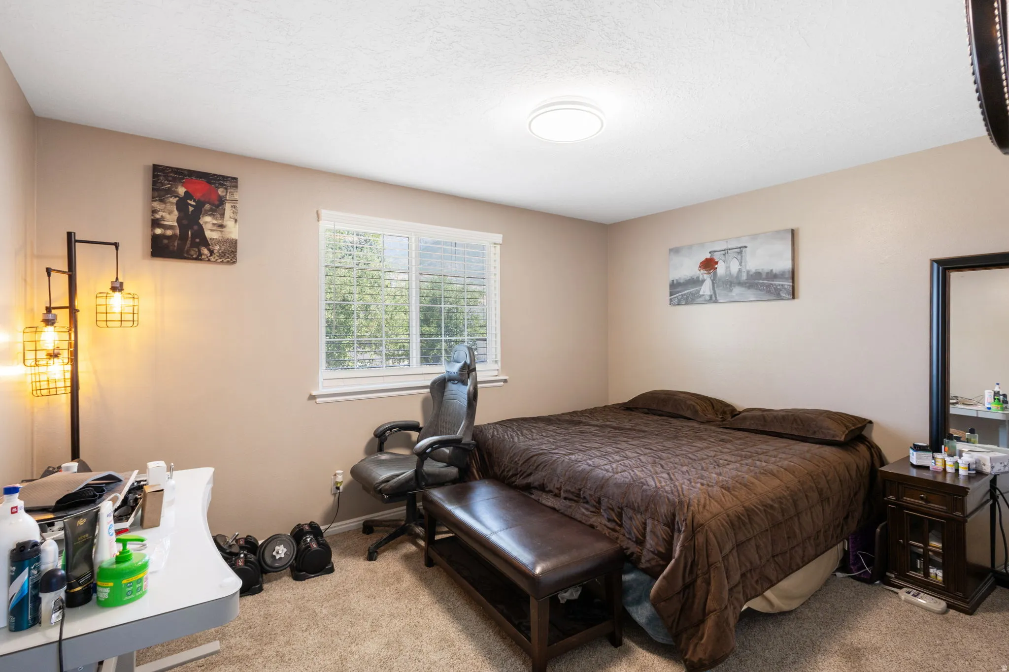 Neutral wall paint, carpeted flooring, window with natural light, and ceiling-mounted light fixture