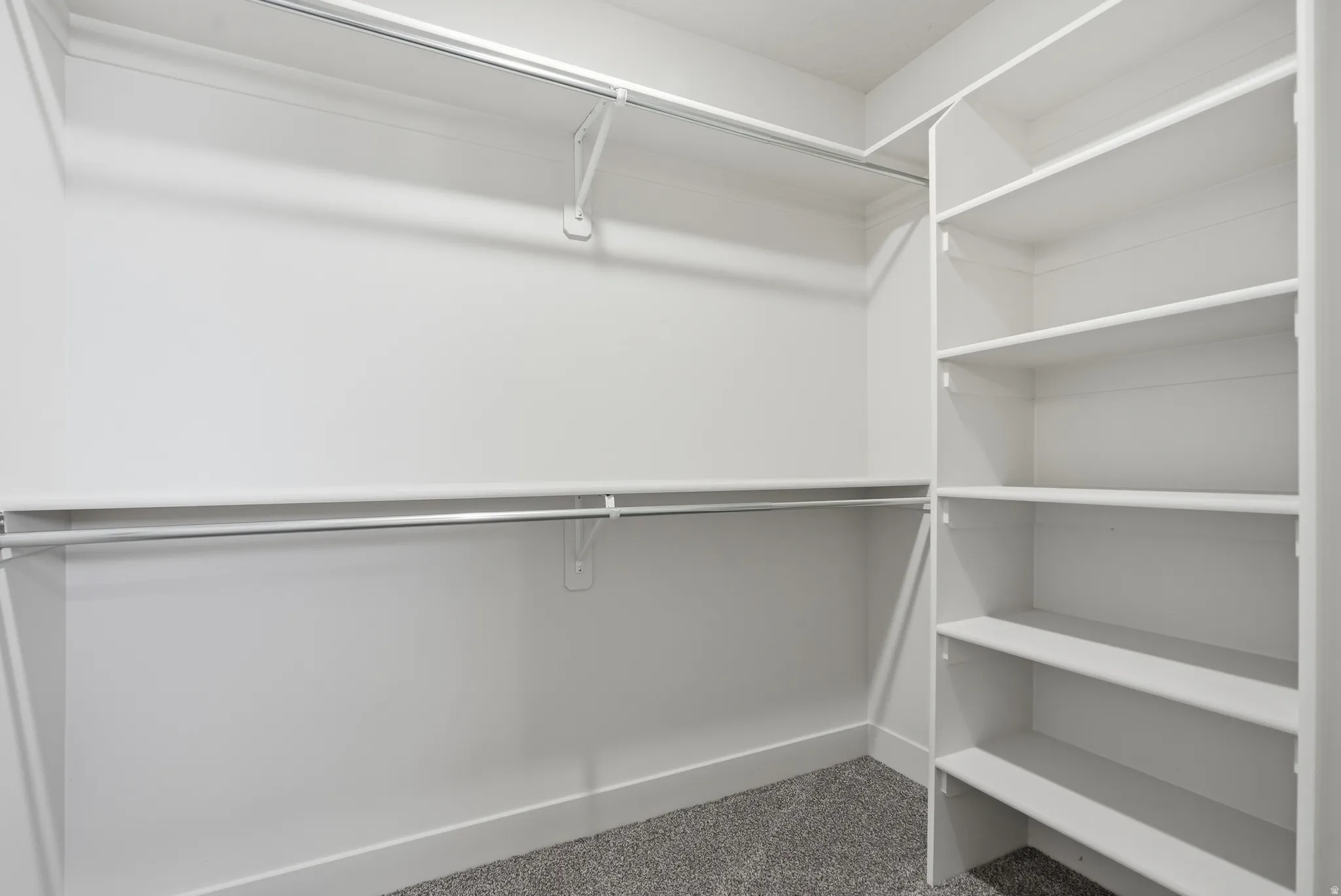 White built-in shelving, dual hanging rods, light gray carpeting, and white walls