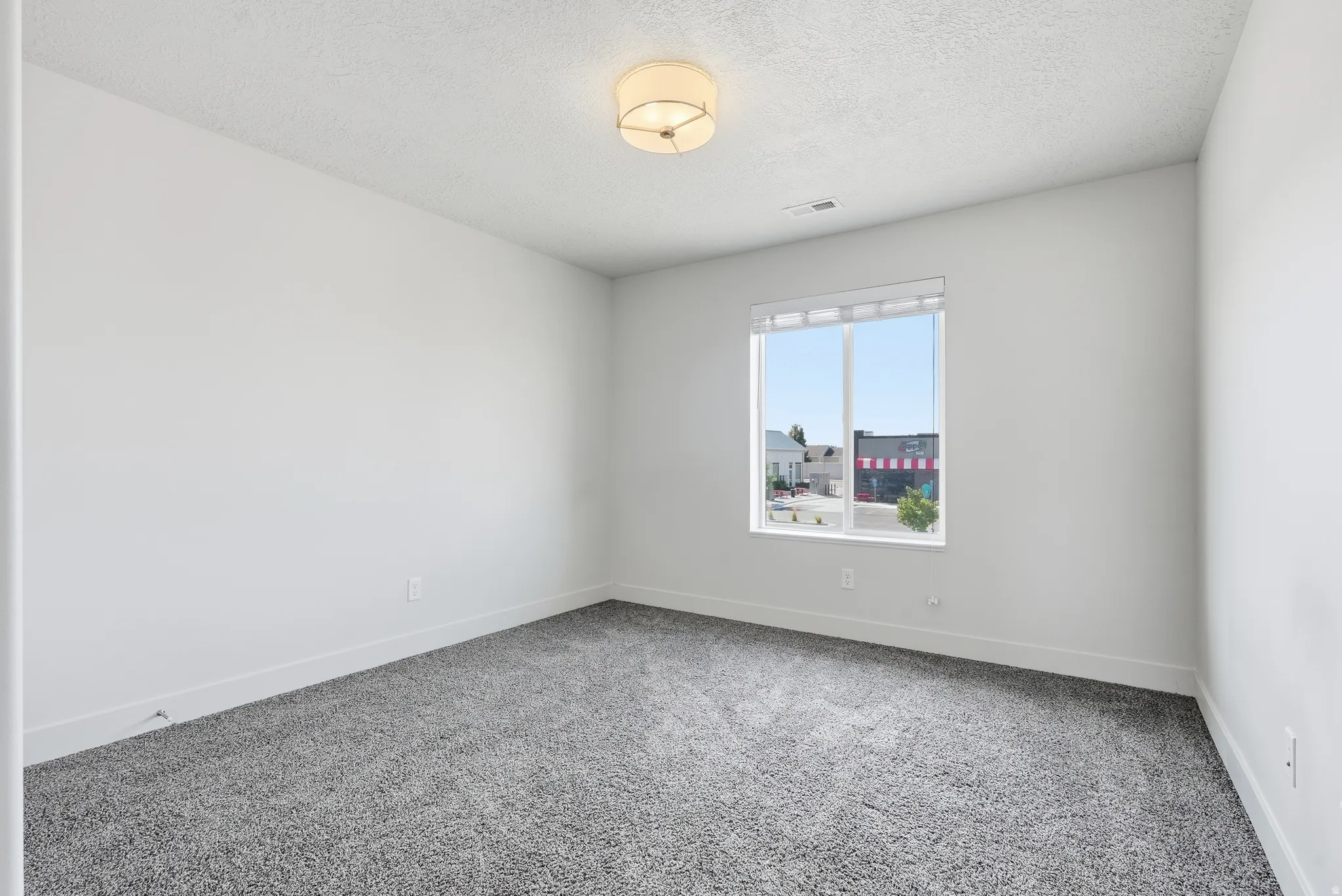 Bright room featuring a large window, plush gray carpeting, and a modern flush-mount ceiling light