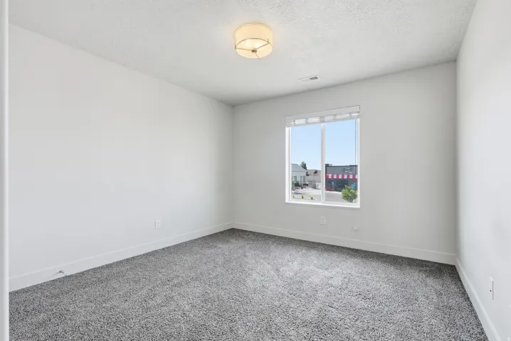Bright room featuring a large window, plush gray carpeting, and a modern flush-mount ceiling light