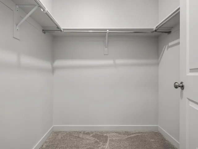 Walk-in closet with carpet flooring, white walls, and built-in metal hanging rods