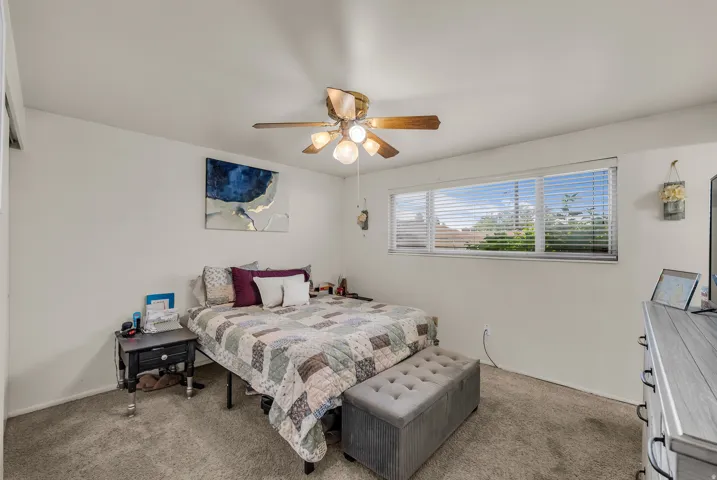 Bright main bedroom with dual windows providing natural light, ceiling fan with integrated lighting, and carpet flooring