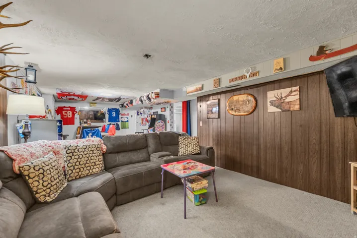 Carpeted flooring paired with wood-finish wall paneling