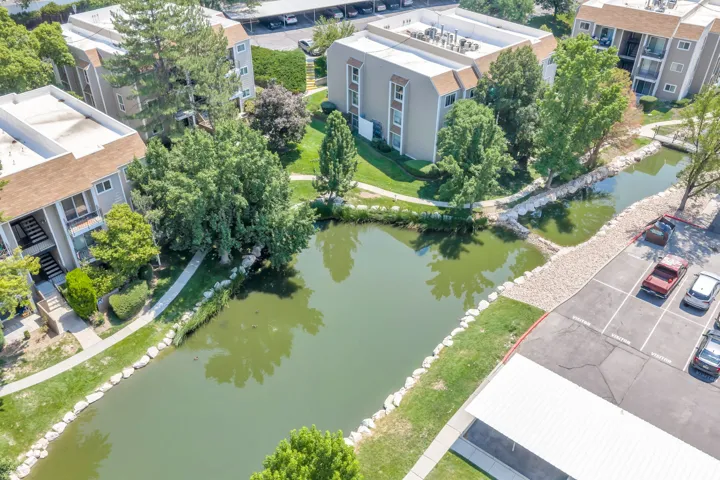 Water feature with rock-lined banks, surrounded by mature trees, and pedestrian pathways