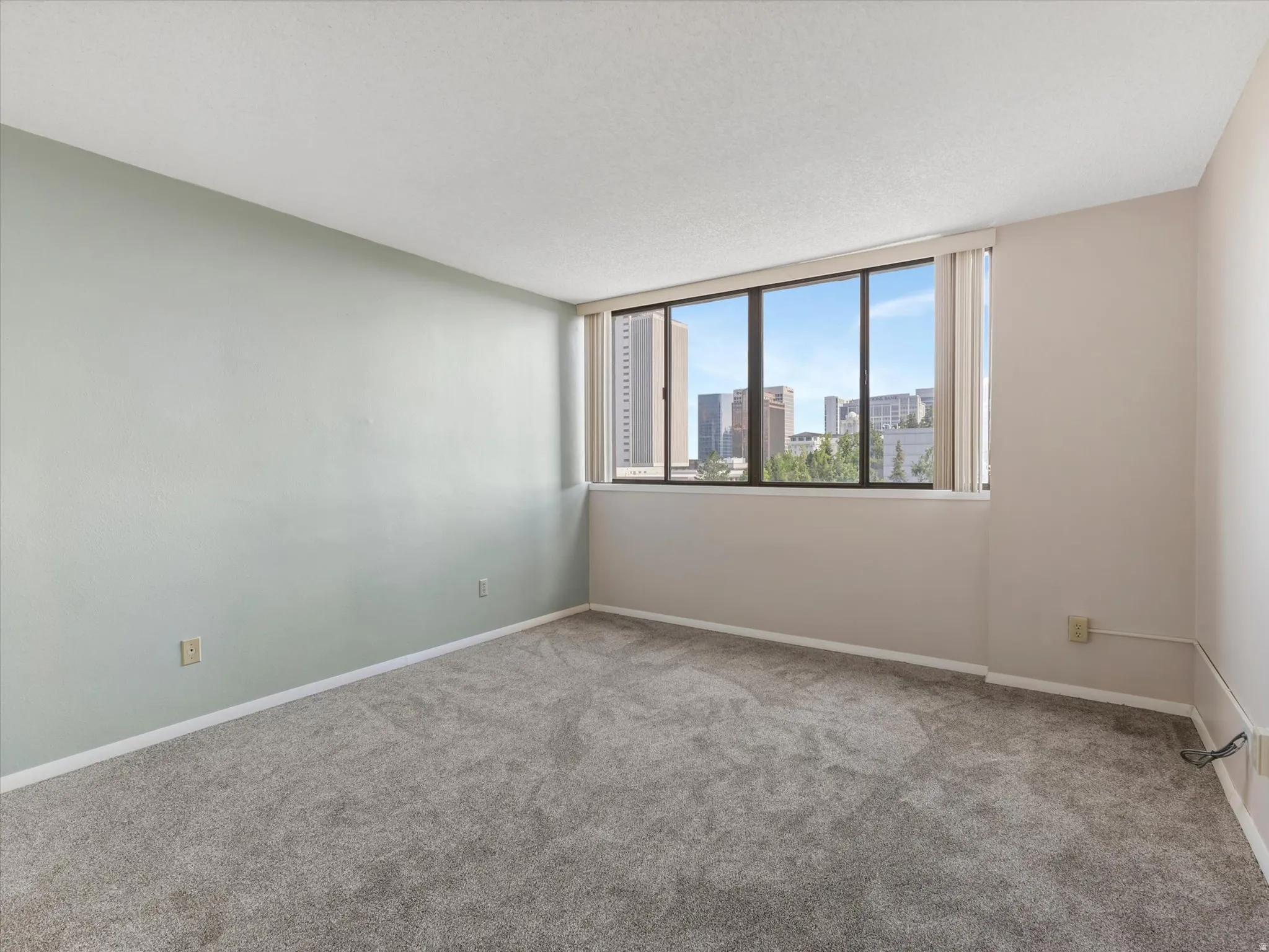 Wall-to-wall carpeting, large window, and light-toned walls
