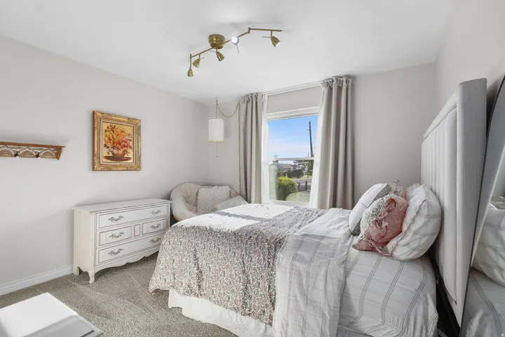 Single window with drapes, wall-mounted track lighting fixture, and carpeted flooring