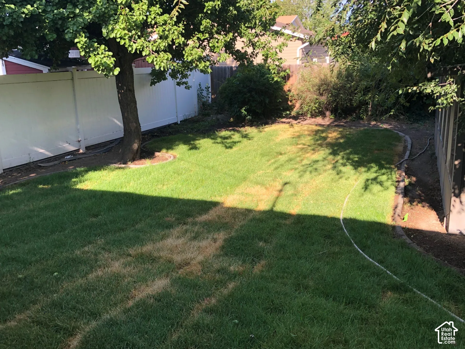 Expansive grassy yard with mature shade tree, perimeter fencing, and established shrubbery