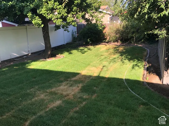 Expansive grassy yard with mature shade tree, perimeter fencing, and established shrubbery