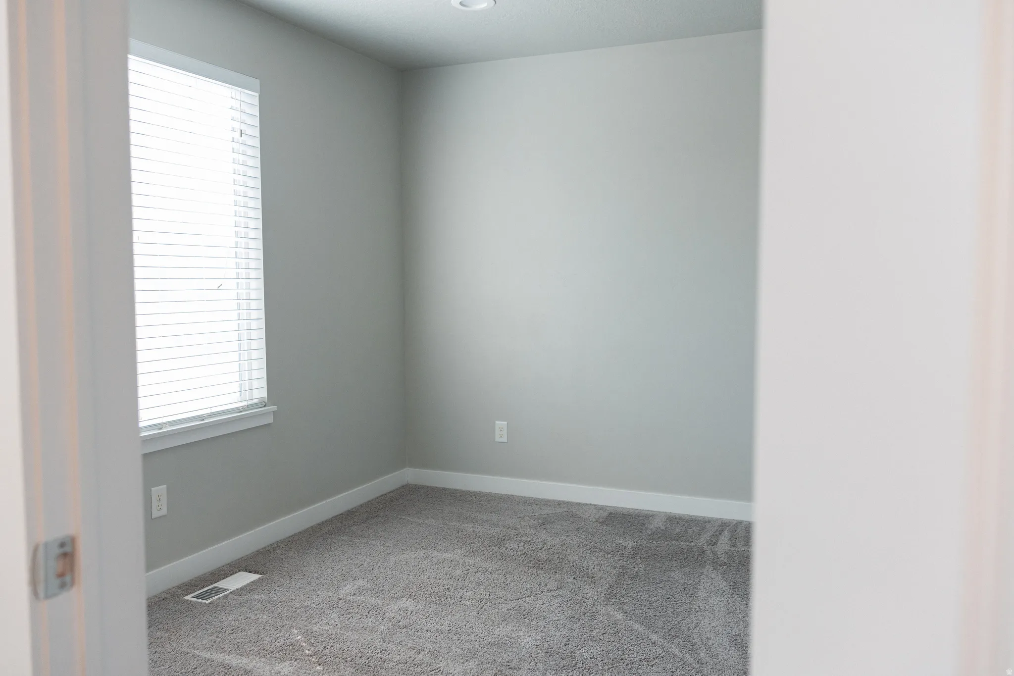 Neutral wall paint, recessed ceiling light, and carpeted flooring