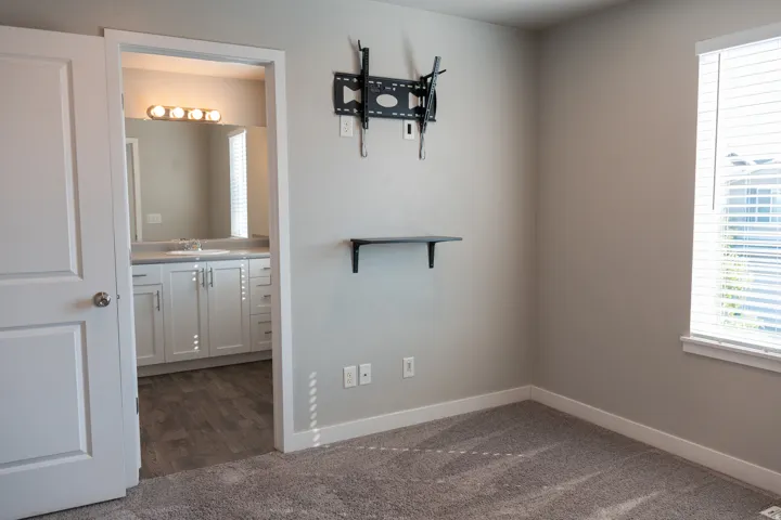 Plush carpet flooring, a window with blinds, and light gray wall paint