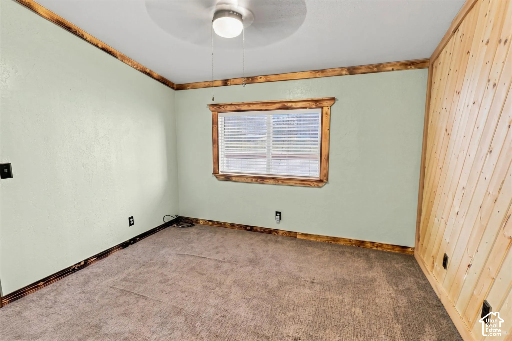 Wall-to-wall carpeting, wood-paneled accent wall, and wood-trimmed window