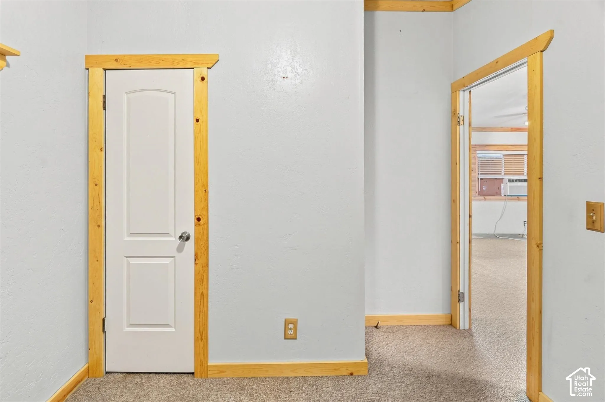 Light gray walls with wood-finish trim, white two-panel interior door with chrome hardware, and gray speckled carpet