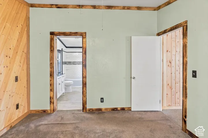 Wood-paneled accent wall, wood-trim doorways, light green wall finishes, and carpeted flooring