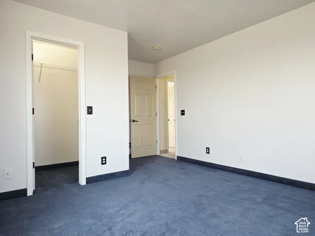 Blue wall-to-wall carpeting, white walls, and a walk-in closet with wire shelving