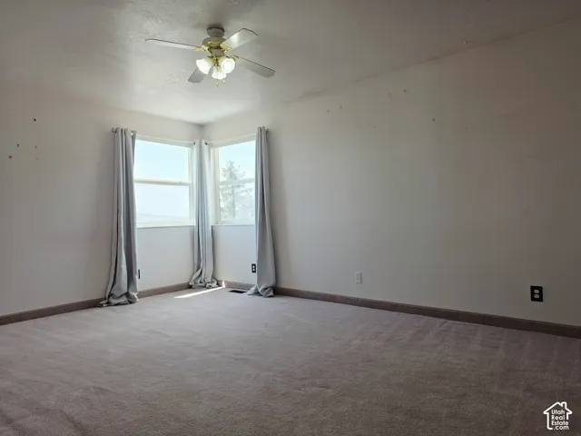 Neutral-toned carpeting throughout
