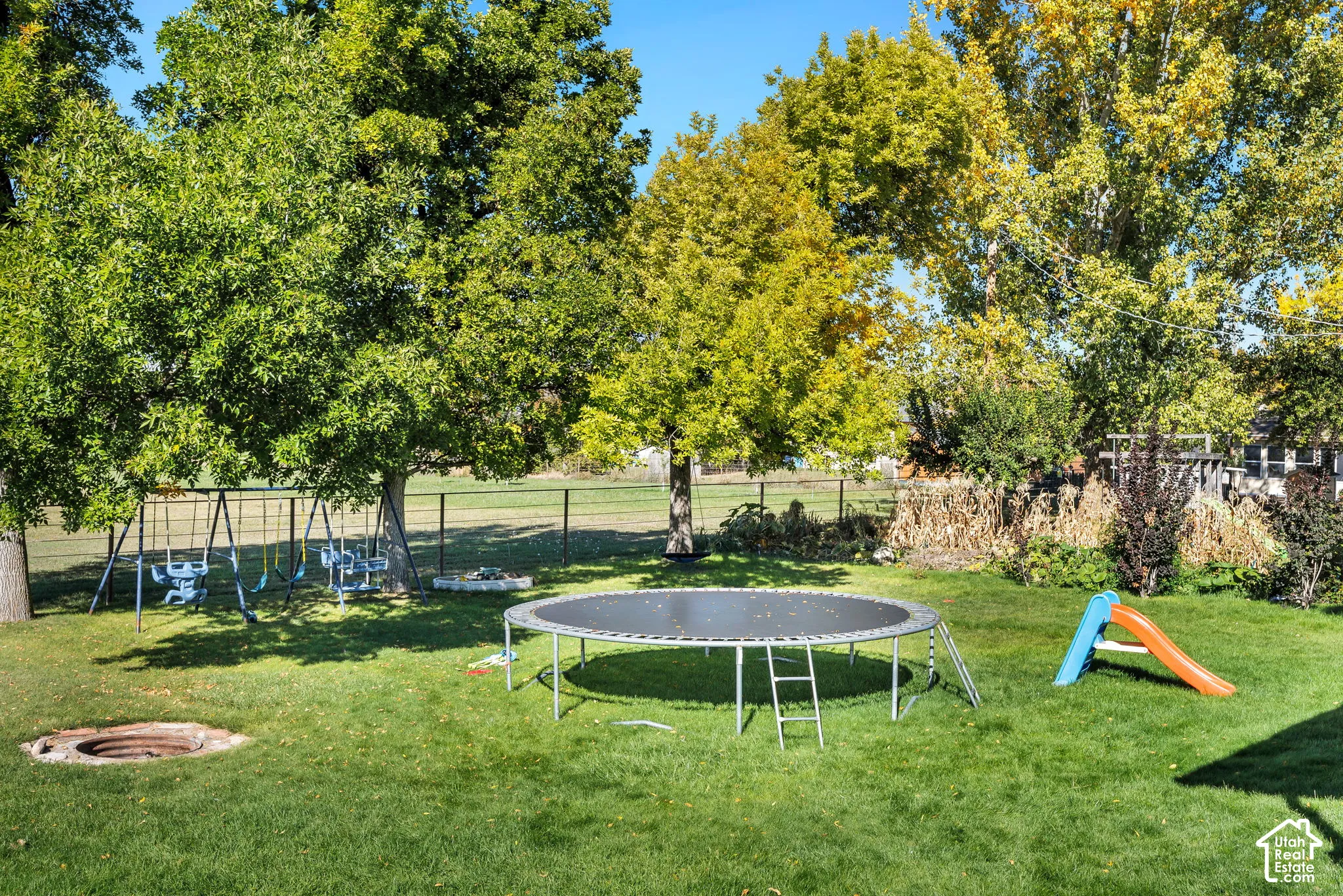 Expansive grassy yard with mature trees and a metal fence