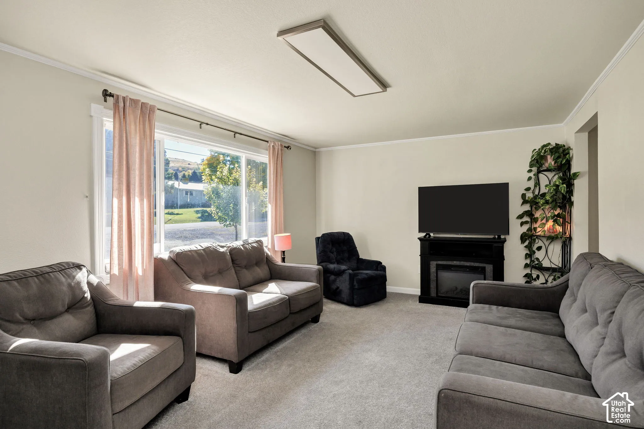 Carpeted living area featuring a large window, crown molding, and a built-in fireplace