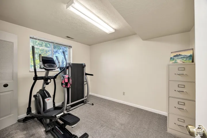 Carpeted room featuring a window with exterior visibility, white baseboards, and a white ceiling