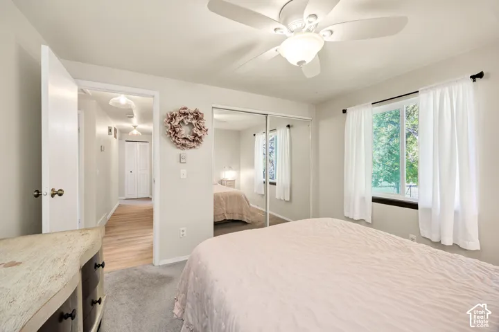 Carpeted flooring, a window offering natural light, a ceiling fan with integrated lighting, and mirrored closet doors