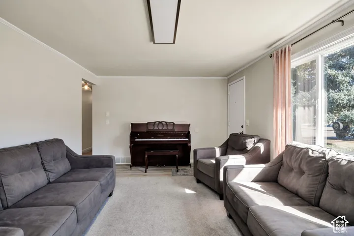 Spacious living area featuring light-toned walls, a large window, and light-colored carpeting