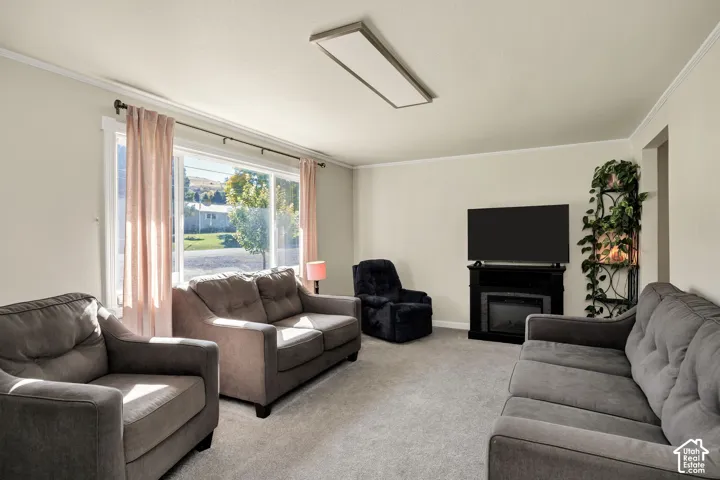 Carpeted living area featuring a large window, crown molding, and a built-in fireplace
