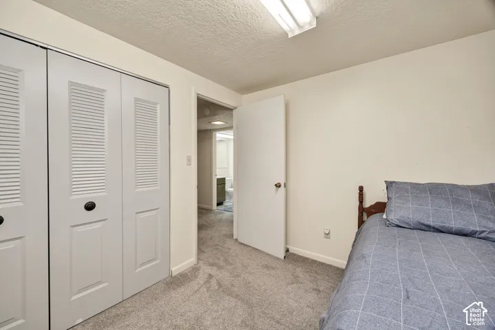 Louvered bi-fold closet doors and neutral carpeting