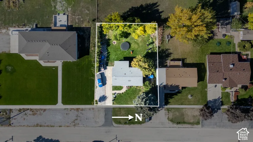 Expansive backyard with mature trees and a manicured lawn