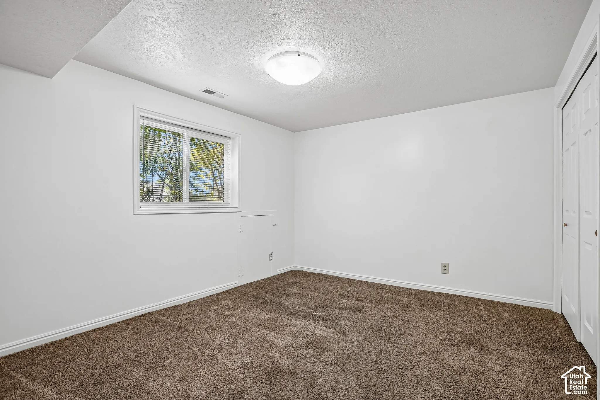 Neutral-toned carpeting, white walls, and a white ceiling with a flush-mount light fixture