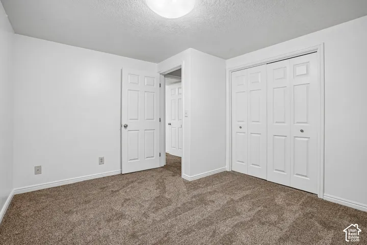 Neutral wall paint, plush carpet flooring, bi-fold closet doors, and overhead dome light fixture