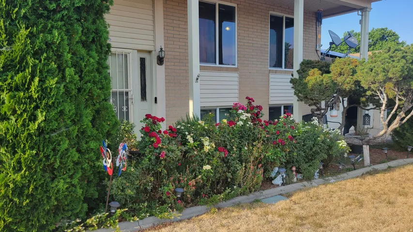 Brick and siding exterior with mature landscaping and flowering shrubs