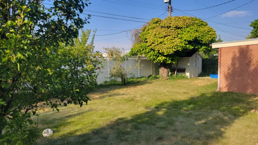 Expansive lawn with mature trees and a privacy fence