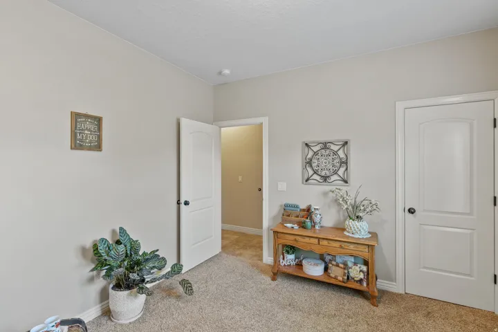 Neutral wall paint, textured carpet flooring, interior doors with arch top panels, and ceiling-mounted light fixture
