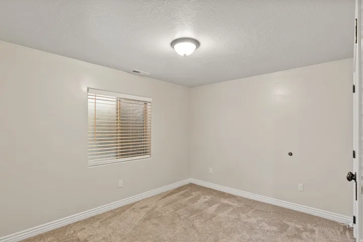 Neutral wall paint, carpet flooring, window with blinds, and a ceiling-mounted light fixture