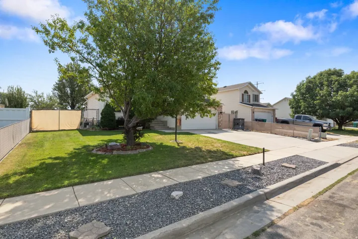 Two-story residence featuring a two-car garage, mature front yard tree, and concrete driveway