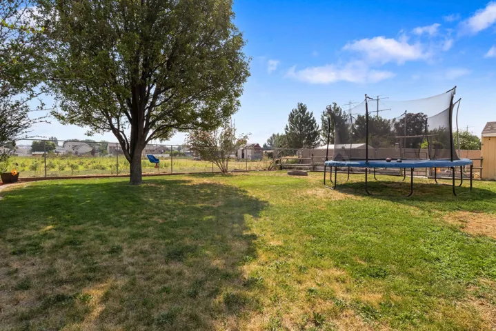 Expansive grassy yard featuring a mature tree, chain-link fencing, and a compact shed