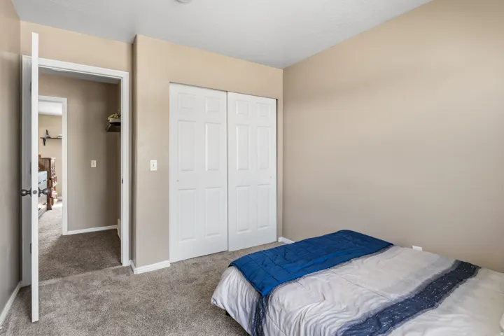 Neutral wall color, paneled closet doors, and plush carpet flooring