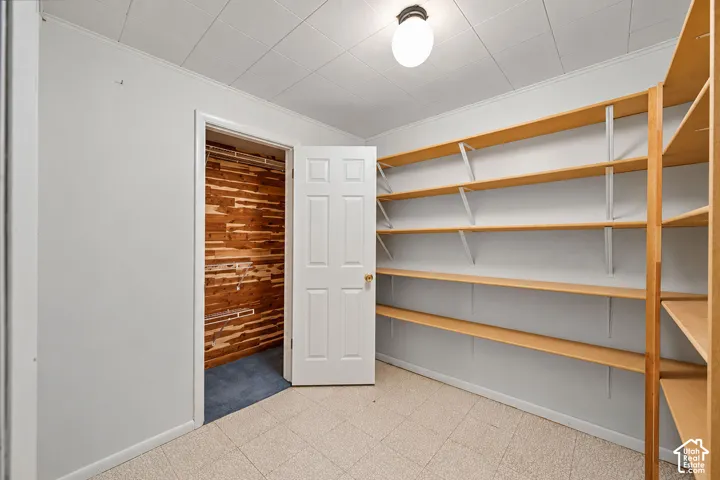 Versatile storage room featuring extensive built-in shelving and cedar lined closet.