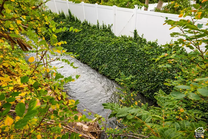 Creek behind back fence