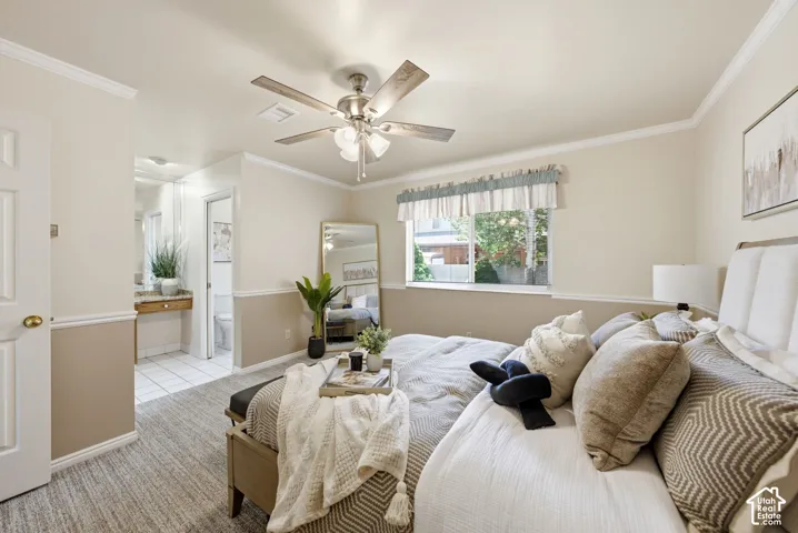 Carpeted room with a ceiling fan, crown molding, and a window with a valance