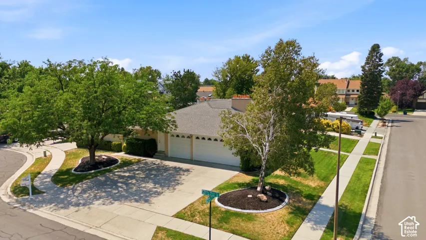 Single-story residence featuring a paved driveway, attached garage, mature front yard landscaping with shade trees, and a concrete sidewalk