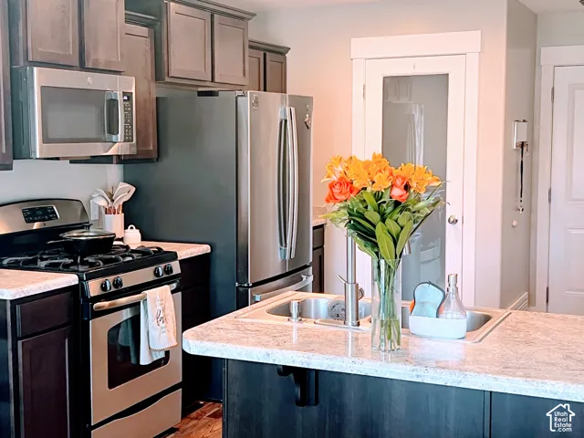 Stainless steel appliances, dark wood-finish cabinetry, light-toned countertops, and a double basin sink
