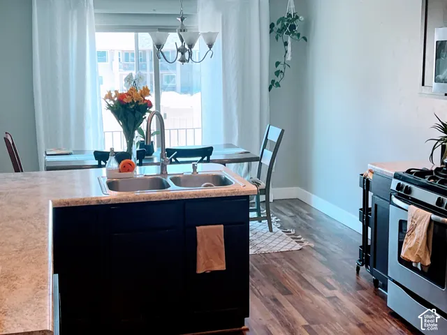 Kitchen featuring a double basin stainless steel sink, dark wood-finish cabinetry, wood-finish flooring, and a stainless steel oven/range
