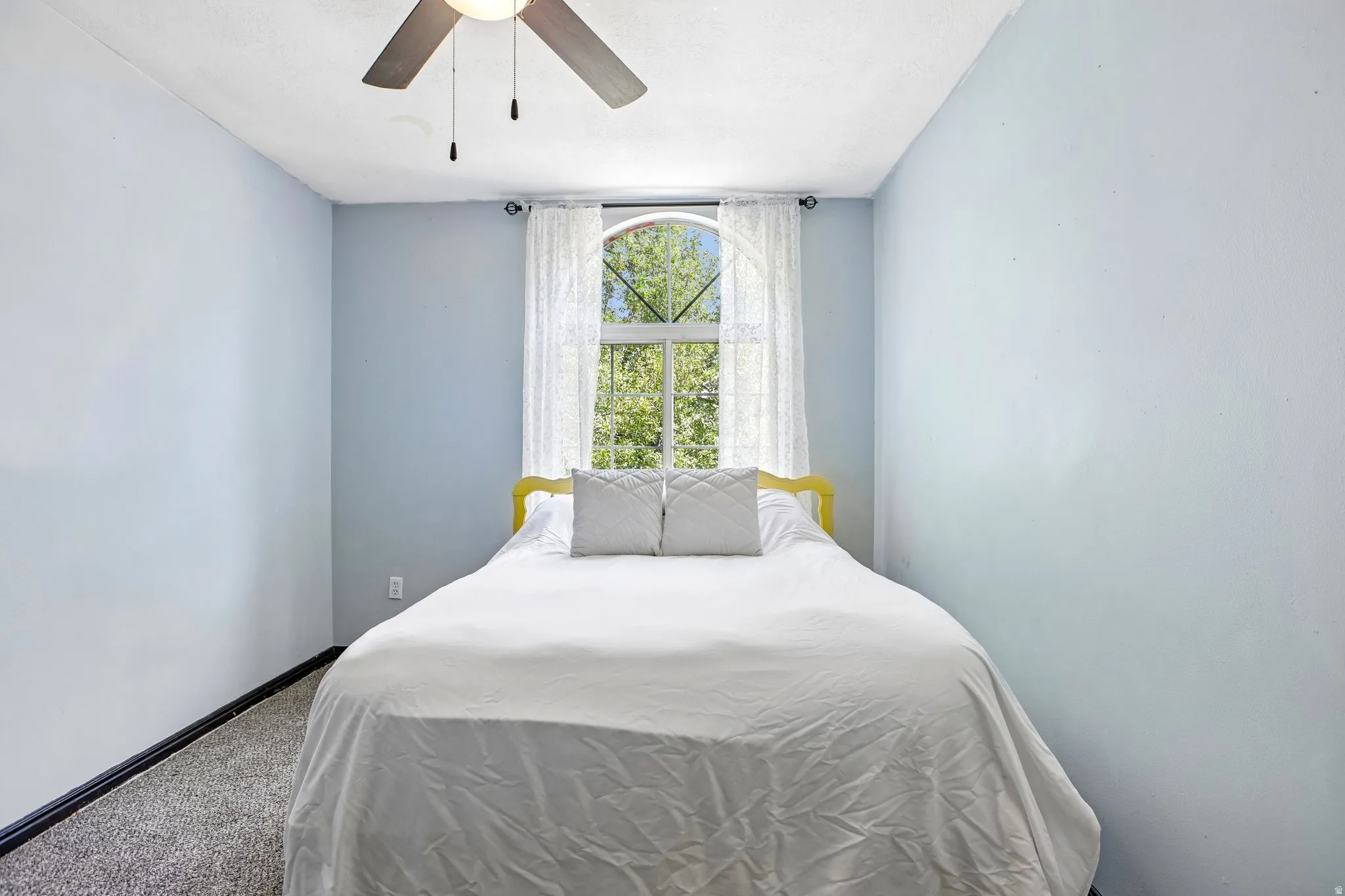 Arched window with sheer drapery, ceiling fan, and light blue wall finish
