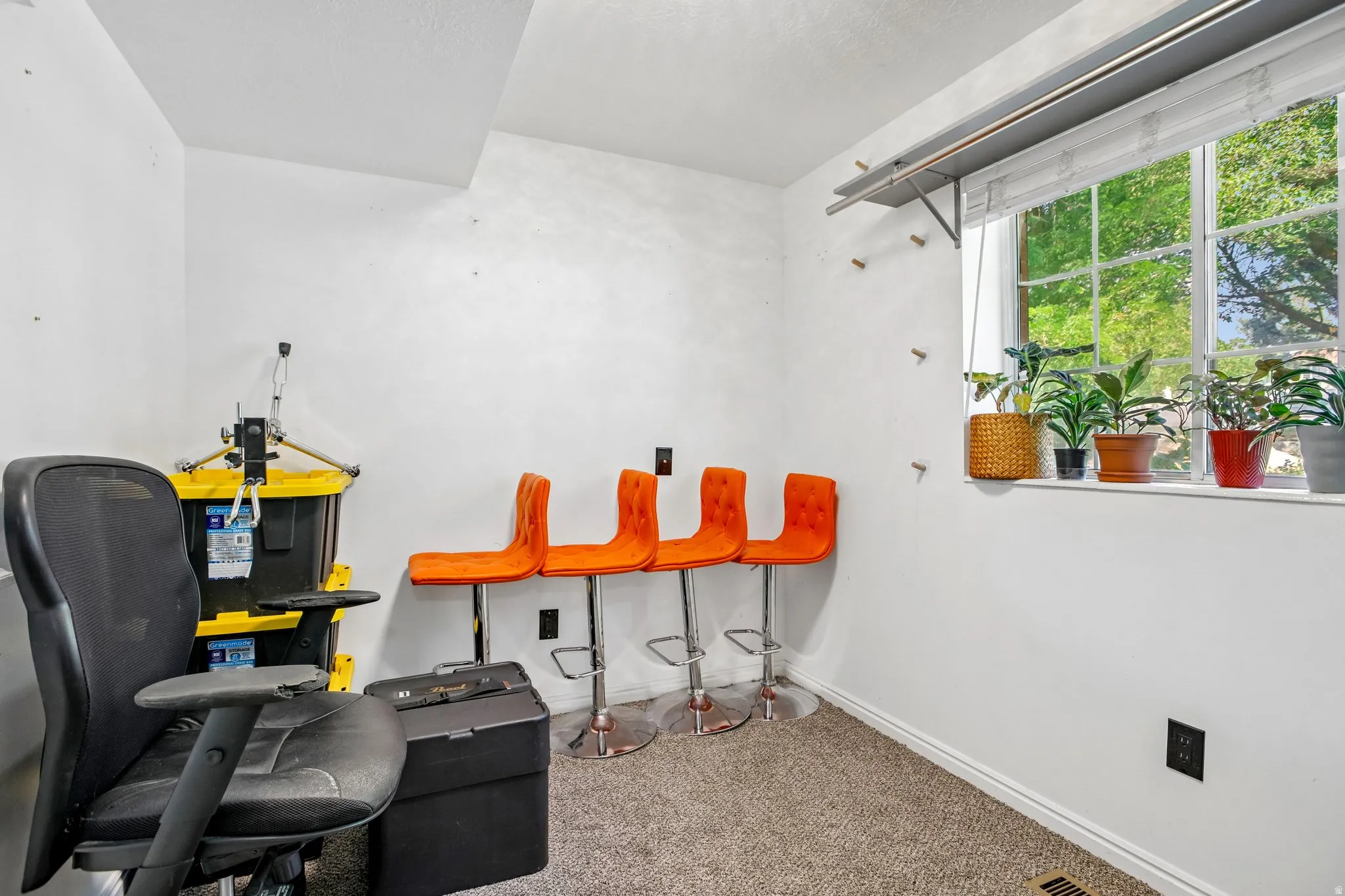 Window with natural light, built-in shelf, and neutral carpeting