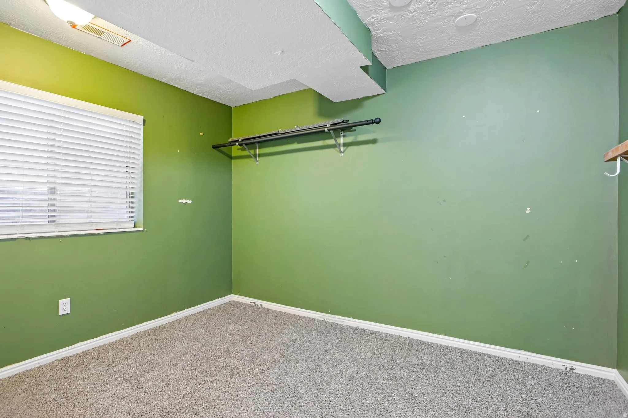 Carpeted room with a window, white blinds, and a built-in hanging rod