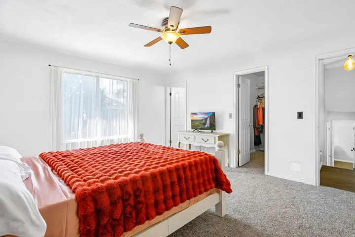 Bright room featuring a ceiling fan, light-colored walls, carpeted flooring, and a window with sheer curtains
