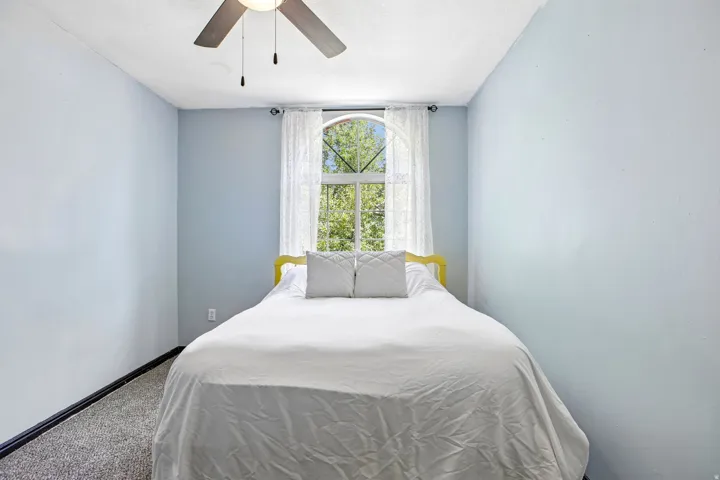 Arched window with sheer drapery, ceiling fan, and light blue wall finish